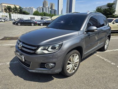 Volkswagen Tiguan 2013рік 2.0 Дизель Автомат